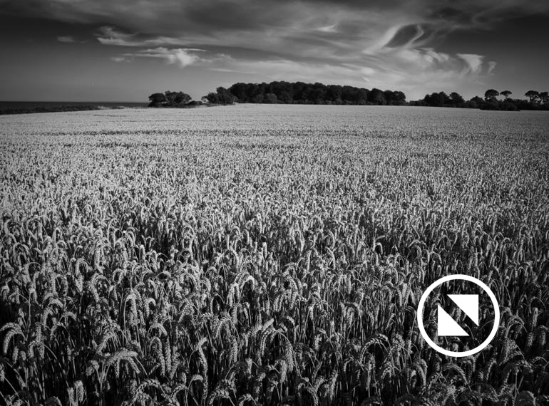schwarz-weiss Fotografien als besonderer Hingucker